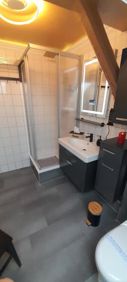 Best-Preis -Vip Lounge- Mit Netflix, Self-Check-In, Ebike Ladestation, Fahrradraum, Wlan Und Netflix - Direkt Am Elberadweg Im Herzen Von Виттенберге Экстерьер фото