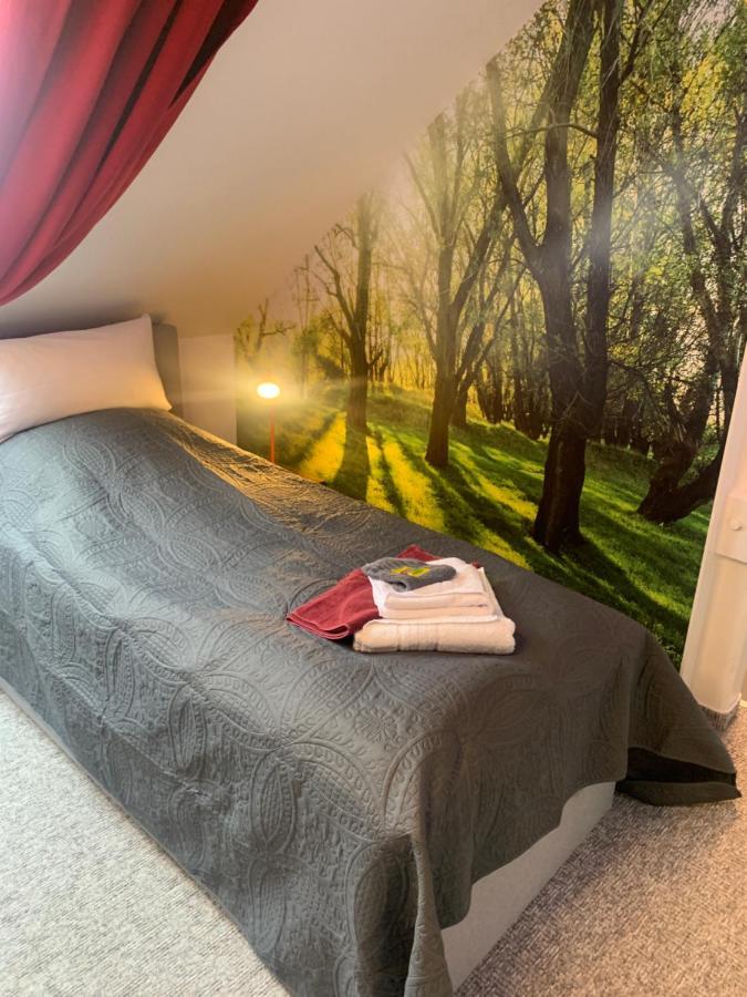 Best-Preis -Vip Lounge- Mit Netflix, Self-Check-In, Ebike Ladestation, Fahrradraum, Wlan Und Netflix - Direkt Am Elberadweg Im Herzen Von Виттенберге Экстерьер фото